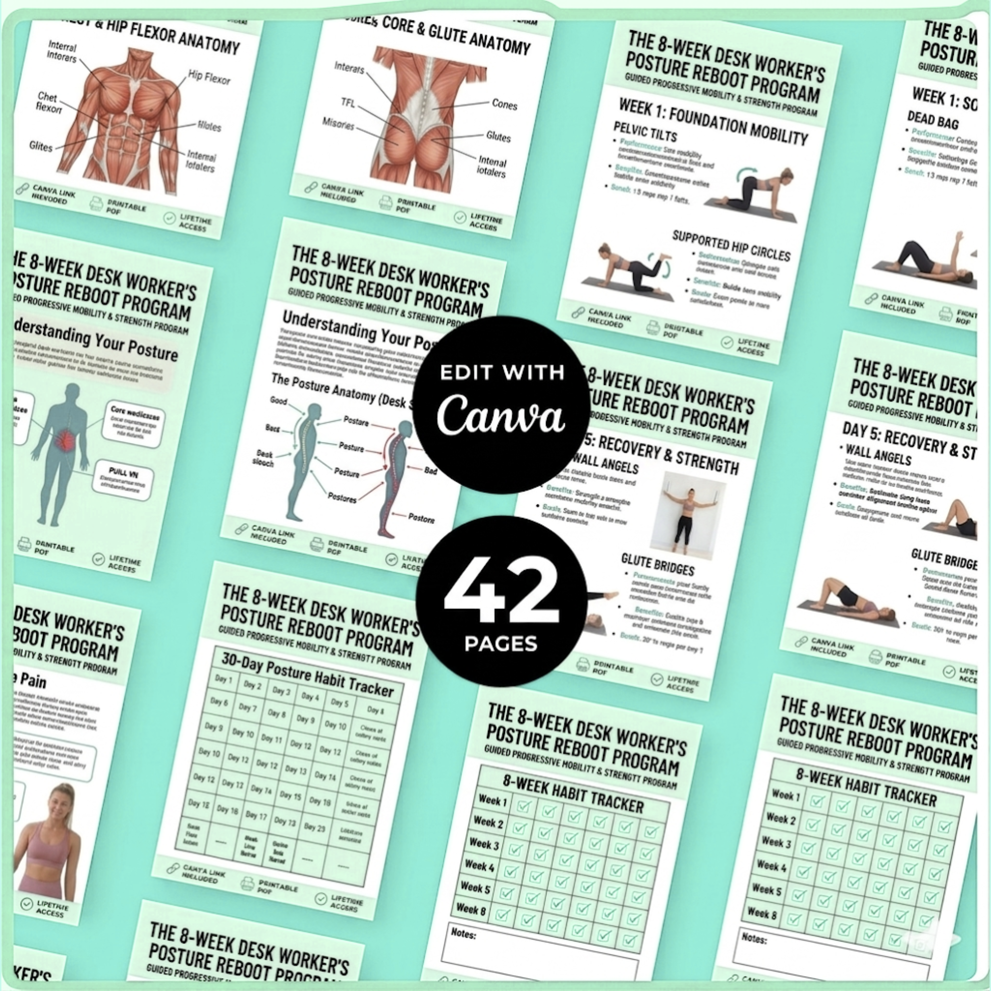 8 Week Tech Neck & Posture Correction Guide E-Book (PDF Download)